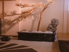 -春熙台韩国料理·章鱼肥牛(西丽店)