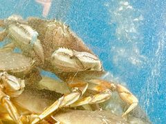-珍宝海鲜JUMBO Seafood(尚嘉店)