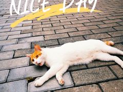 -F518时尚创意园