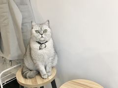-Oasis绿洲银饰珍珠手作diy(壹方城店)