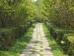 -观山湖公园