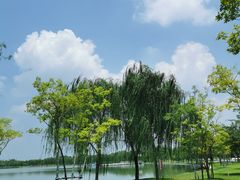 -象湖生态湿地公园