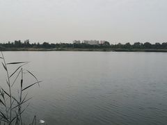 -绿堤公园