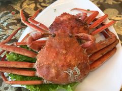 -老虎滩船说·海胆水饺·大连海鲜(老虎滩店)