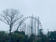 -上海野生动物园