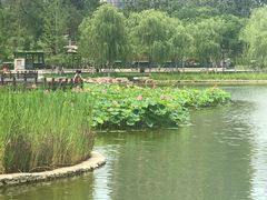 -西海子公园