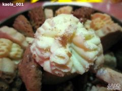 奶油味曲奇-珍妮曲奇聪明小熊(上环店)