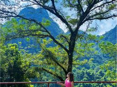 -广西龙虎山风景区