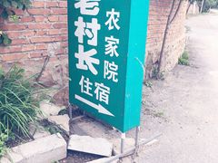 -老村长农家院