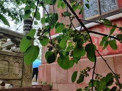 -焦山景区-万佛塔