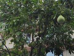 -鼓楼(西湖风景名胜区)