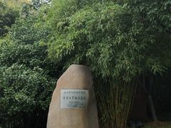 -楚望台遗址公园