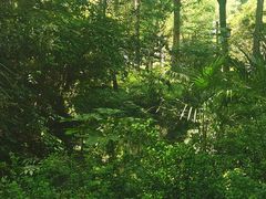 -家烧面馆【南山路知名经典面食】