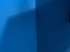-BlueGame深蓝密室逃脱真人NPC(京投港·长阳店)