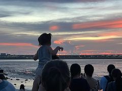 -宝安西湾红树林湿地公园