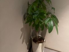 -泰合玺·精油疗愈 SPA(南京河西万达店)