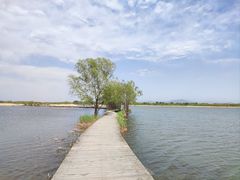 -野鸭湖国家湿地公园