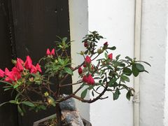 -河坊街景区