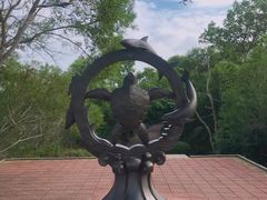 -广东惠东海龟国家级自然保护区
