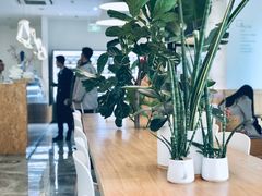 大堂-Blueglass酸奶(财富购物中心店)