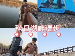 -西青郊野公园