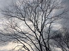 -西湖游船