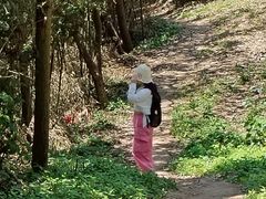 -冶父山国家森林公园