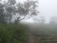 -凤凰山