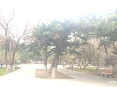 -东北大学(南湖校区)