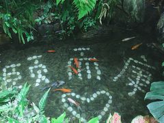 -颐而康·足疗·按摩·艾灸·SPA(金沙北路店)