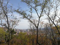 -山东大学(威海校区)