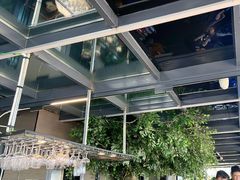 -野菌皇海景野生菌火锅(滨海大道店)