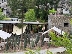 -MOJ coffee(瓯海泽雅水碓坑店)