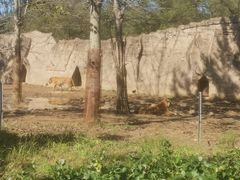 -秦皇岛野生动物园
