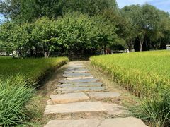 -北坞公园