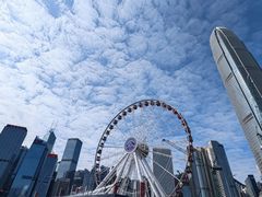 -Big Bus Tours 敞篷观光巴士