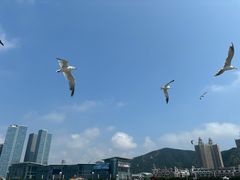 -星海广场