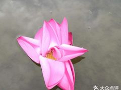 -新江湾城公园