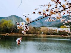 -国家植物园
