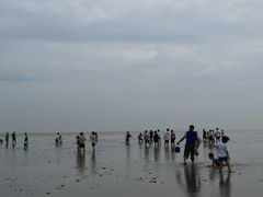-南汇嘴观海公园