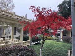 -南京中国近代史遗址博物馆(南京总统府)