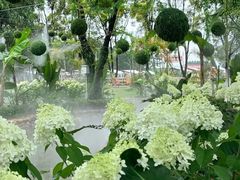 -广东花都香草世界旅游度假区