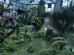 -东莞植物园