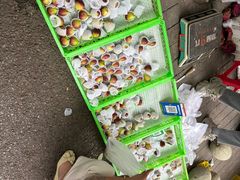 -东仓门早市