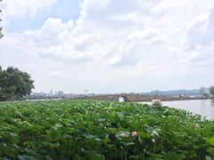 -杭州伊美大酒店