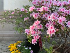 -秦园惠山豆腐花(惠山古镇店)