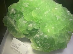 -湖南省地质博物馆