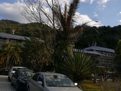-海南霸王岭国家森林公园