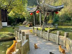 -南山风景名胜区