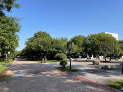 -唐城墙遗址公园